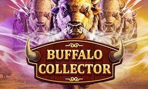 e2bet Buffalo Collector