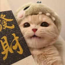 Ảnh đại diện thành viên